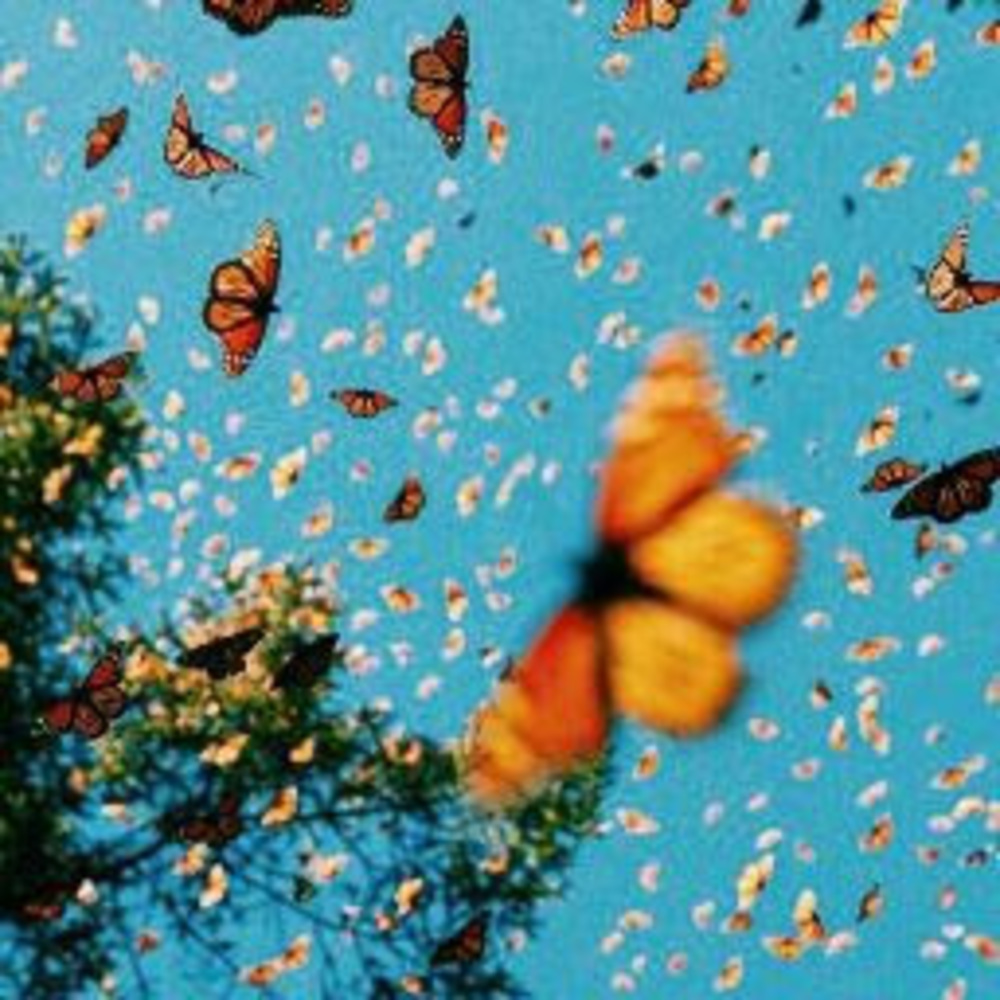 Meet your Posher, Magaly